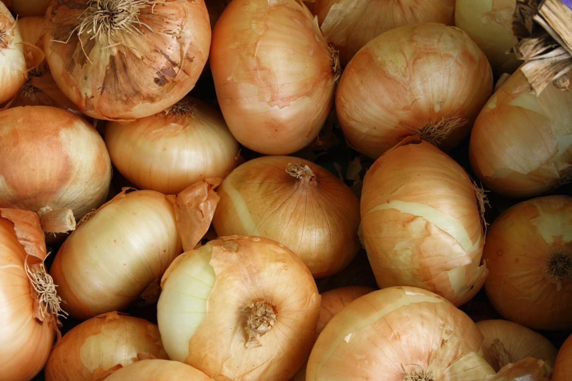 Cebollas agrupadas