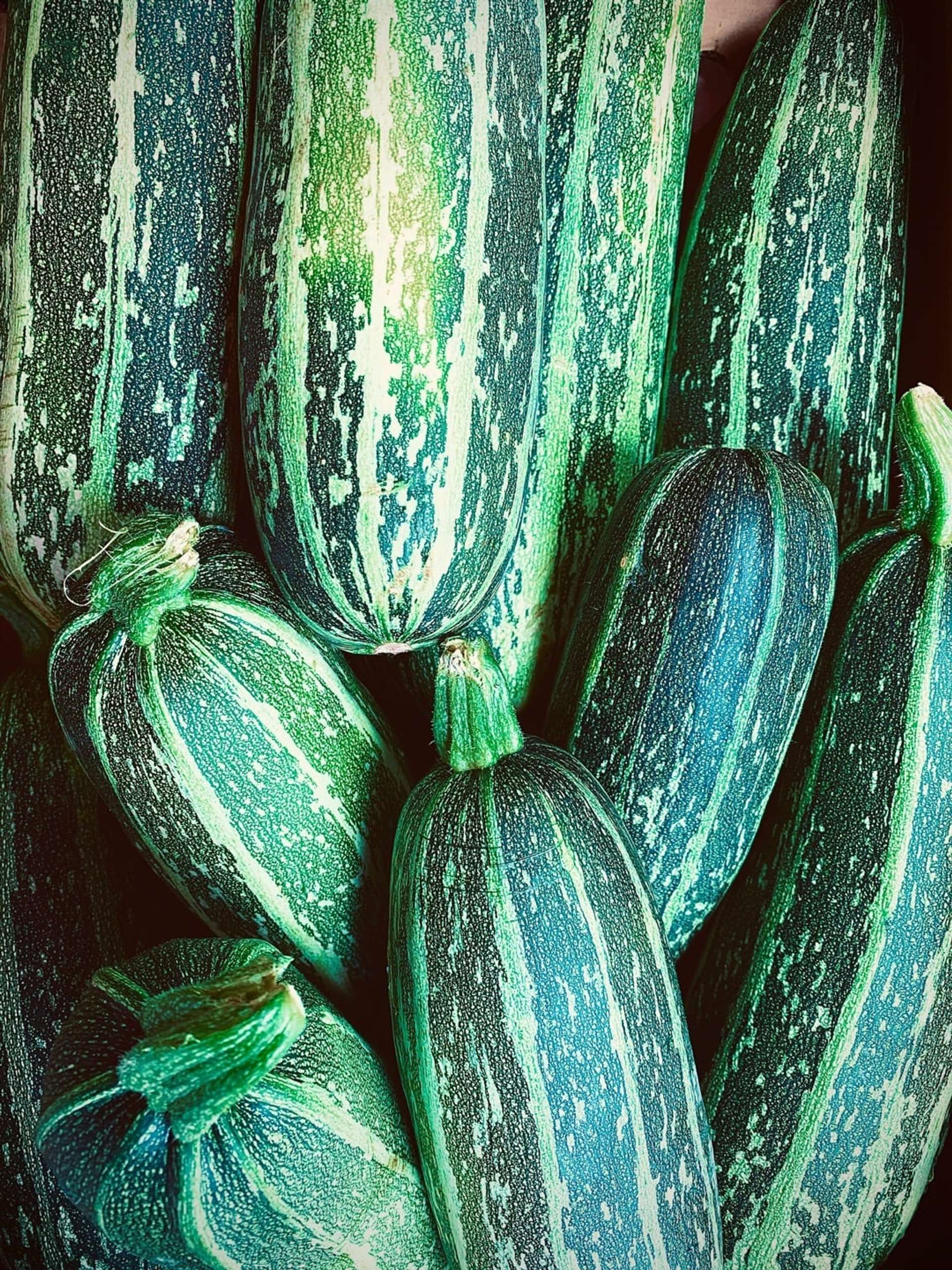 Calabacines apilados