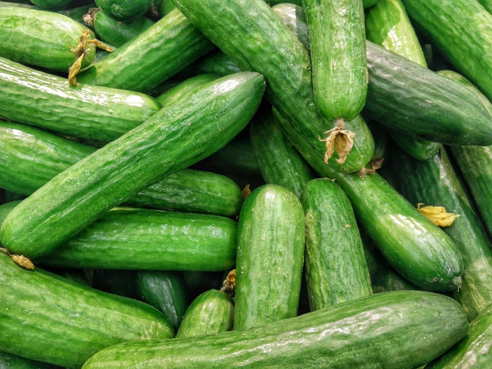 Pepinos apilados