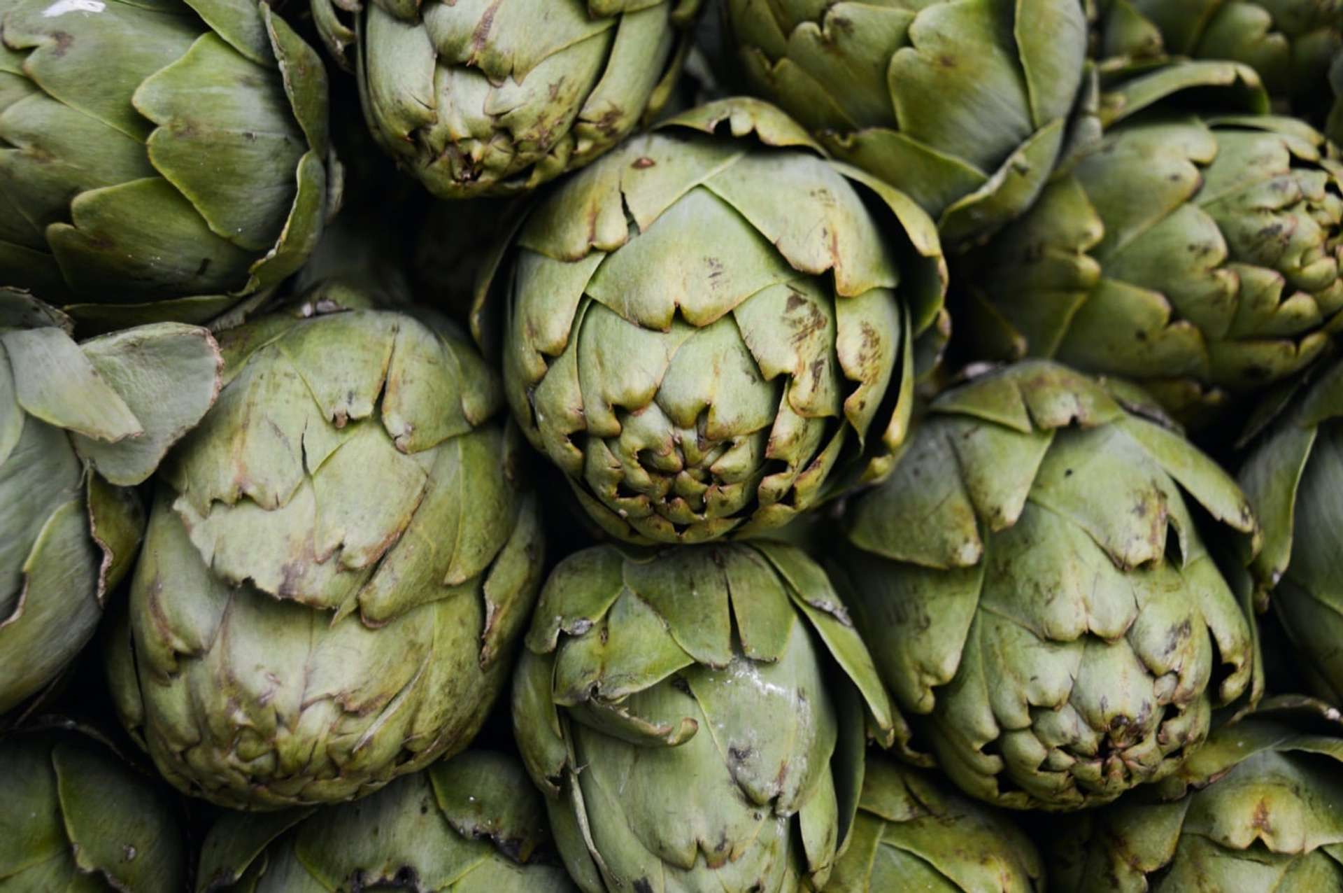 Cabezas de alcachofa apiladas