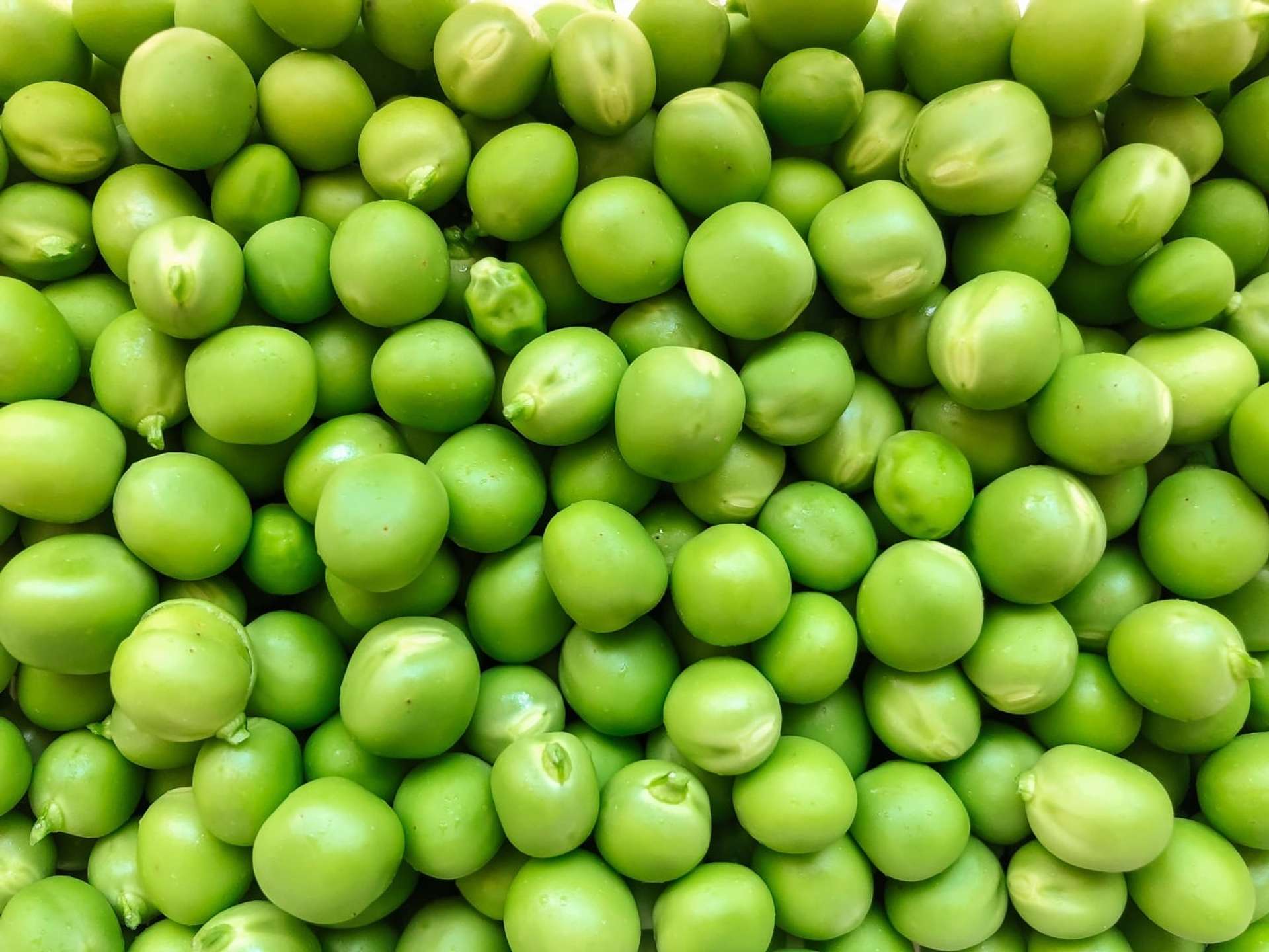 Fotografía macro de muchos guisantes