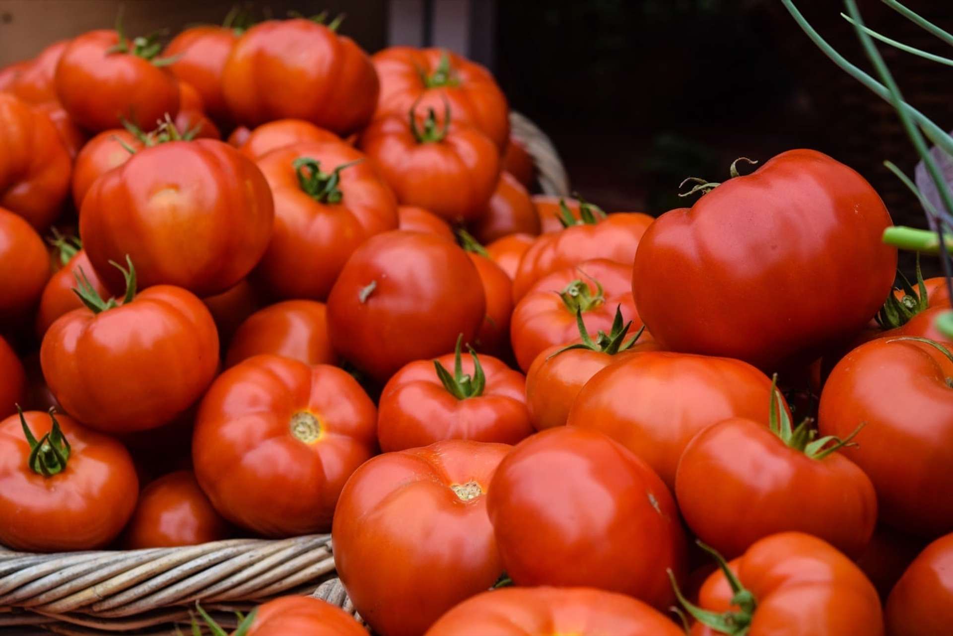 Tomates maduros encima de una cesta